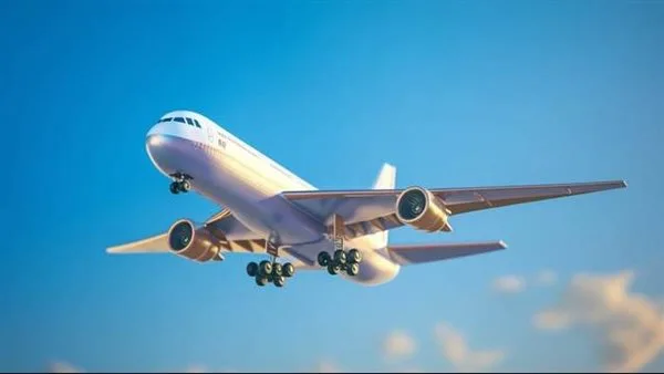 تايلاند: هبوط اضطراري لطائرة هندية بعد تلقي تهديد بوجود قنبلة على متنها تايلاند: هبوط اضطراري لطائرة هندية بعد تلقي تهديد بوجود قنبلة على متنها
