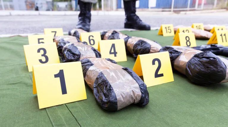 جدل في فرنسا بشأن قانون مكافحة المخدرات: ما الصلة بالمافيا الإيطالية؟ جدل في فرنسا بشأن قانون مكافحة المخدرات: ما الصلة بالمافيا الإيطالية؟