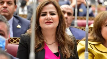 نائبة: 30 يونيو ليست مجرد حركة جماهيرية بل هي عملية إنقاذ وطنية متكاملة.