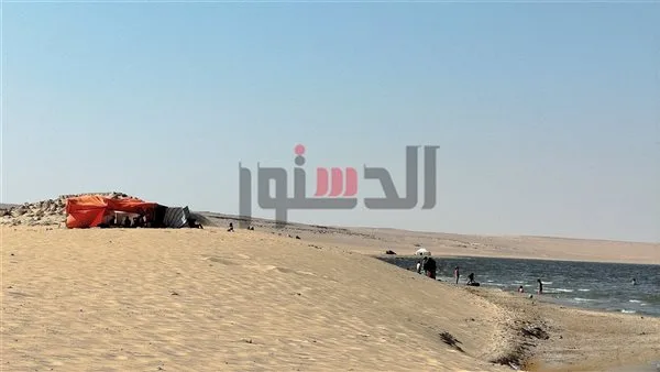 تجنبًا لحرارة الصيف.. سكان الفيوم يتوافدون إلى مياه بحيرة قارون.. مباشرة تجنبًا لحرارة الصيف.. سكان الفيوم يتوافدون إلى مياه بحيرة قارون.. مباشرة
