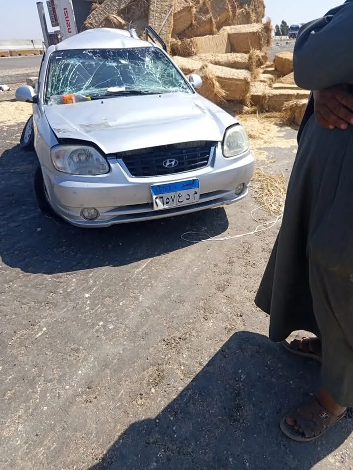 تصادم سيارة محملة بقش الأرز مع سيارة خاصة على الطريق الإقليمي في المنوفية | صور تصادم سيارة محملة بقش الأرز مع سيارة خاصة على الطريق الإقليمي في المنوفية | صور
