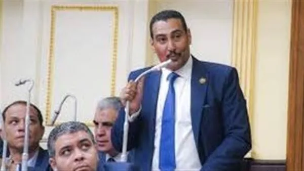 استراتيجية الدولة لضمان مخزون الطاقة بذكاء وفاعلية استراتيجية الدولة لضمان مخزون الطاقة بذكاء وفاعلية