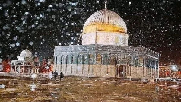 حزب الوعي: مصر دولة كبيرة لا تتسامح مع السياسة المفروضة. حزب الوعي: مصر دولة كبيرة لا تتسامح مع السياسة المفروضة.