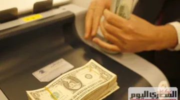 بعد زيادة رسمية… سعر الدولار أمام الجنيه المصري اليوم السبت 14 يونيو 2025