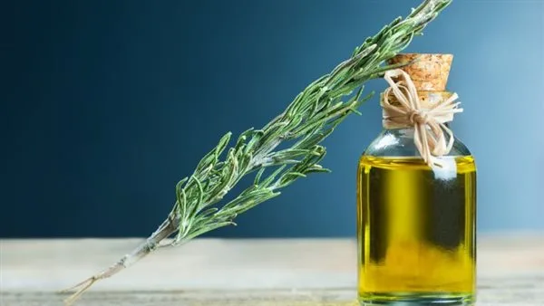 فوائد زيت إكليل الجبل للشعر والصحة العامة فوائد زيت إكليل الجبل للشعر والصحة العامة