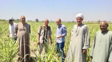 الزراعة تقوي مبادرات الدعم الفني والإرشادي لمستفيدي وادي الصعايدة بأسوان