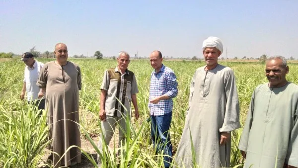 الزراعة تقوي مبادرات الدعم الفني والإرشادي لمستفيدي وادي الصعايدة بأسوان الزراعة تقوي مبادرات الدعم الفني والإرشادي لمستفيدي وادي الصعايدة بأسوان