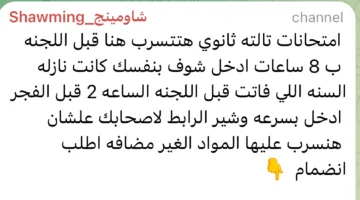 شاومينج: سنقوم بتسريب امتحانات الثانوية العامة قبل بدء اللجنة بـ8 ساعات.. والتعليم: لا تصدقوا وكونوا حذرين من الاحتيال