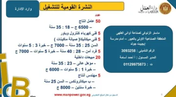 وزارة العمل تكشف عن فرص عمل جديدة في محافظة القليوبية.. اكتشف التفاصيل
