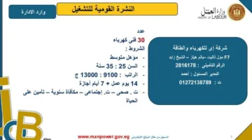 وزارة العمل تطلق فرص عمل جديدة في محافظة الجيزة.. اكتشف التفاصيل