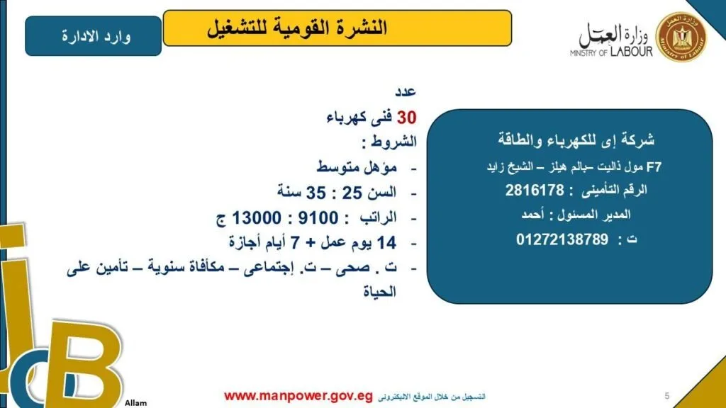 وزارة العمل تطلق فرص عمل جديدة في محافظة الجيزة.. اكتشف التفاصيل وزارة العمل تطلق فرص عمل جديدة في محافظة الجيزة.. اكتشف التفاصيل