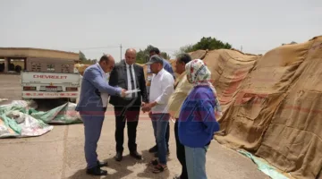 تسليم 224,885 طن و321 كيلو جرام من القمح المحلي في كفر الشيخ