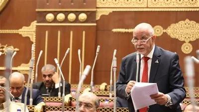 النائب حازم الجندي: تجاهل دعوات السلام من مصر قاد المنطقة إلى حافة الفوضى النائب حازم الجندي: تجاهل دعوات السلام من مصر قاد المنطقة إلى حافة الفوضى