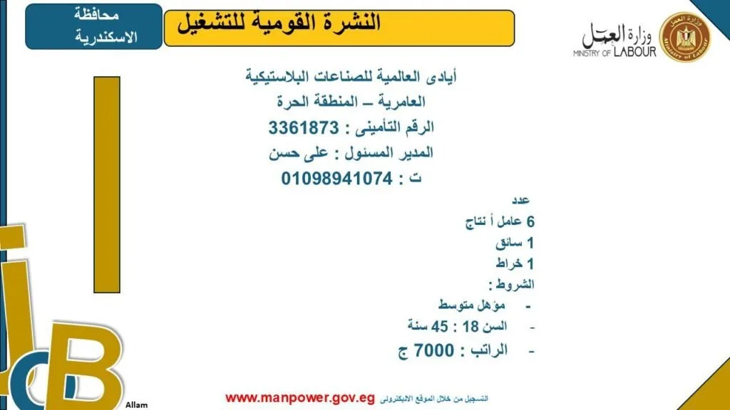 وزارة العمل تصدر قائمة وظائف جديدة في محافظة الإسكندرية.. اكتشف التفاصيل وزارة العمل تصدر قائمة وظائف جديدة في محافظة الإسكندرية.. اكتشف التفاصيل