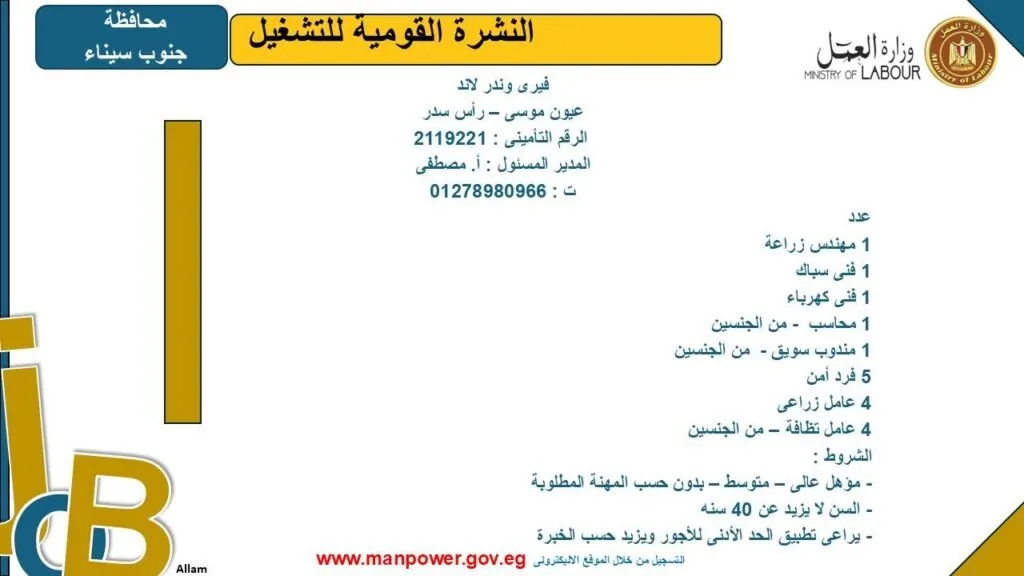 وزارة العمل تكشف عن فرص عمل جديدة في جنوب سيناء.. اكتشف التفاصيل وزارة العمل تكشف عن فرص عمل جديدة في جنوب سيناء.. اكتشف التفاصيل