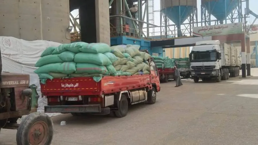 محافظ المنيا: استلام 507 آلاف طن من القمح في الشون والصوامع محافظ المنيا: استلام 507 آلاف طن من القمح في الشون والصوامع