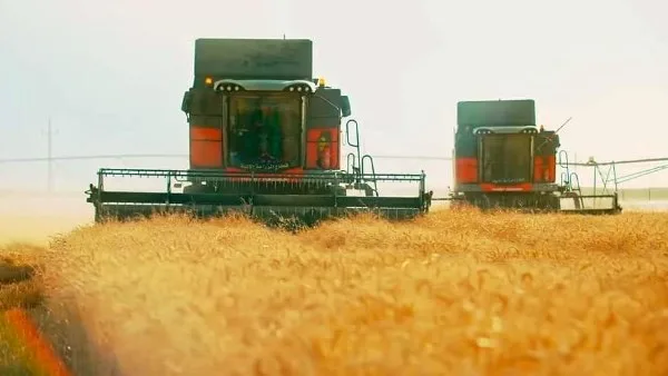 محافظ أسوان: تحقيق نسبة 112.7% في توريد القمح متجاوزاً المستهدف محافظ أسوان: تحقيق نسبة 112.7% في توريد القمح متجاوزاً المستهدف