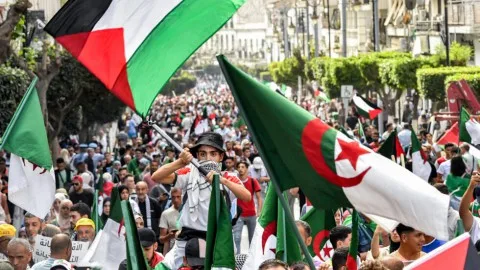 السلطات المصرية تتصدى لمحاولة تنظيم مسيرة دولية إلى غزة وتعتقل مجموعة من النشطاء وتج confiscate جوازات سفرهم. السلطات المصرية تتصدى لمحاولة تنظيم مسيرة دولية إلى غزة وتعتقل مجموعة من النشطاء وتج confiscate جوازات سفرهم.