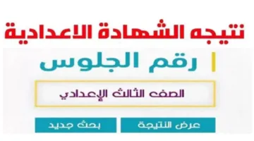 محافظ الجيزة يعلن نتائج الشهادة الإعدادية للترم الثاني 2025 قريبًا
