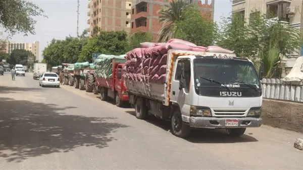 بالأرقام… وصول 507 آلاف طن من القمح إلى المنيا منذ بداية موسم 2025 بالأرقام… وصول 507 آلاف طن من القمح إلى المنيا منذ بداية موسم 2025