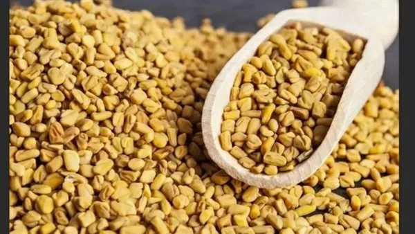 فوائد الحلبة لمرض السكري وأمراض القلب، وتأثيرها الإيجابي على جمال البشرة والشعر فوائد الحلبة لمرض السكري وأمراض القلب، وتأثيرها الإيجابي على جمال البشرة والشعر
