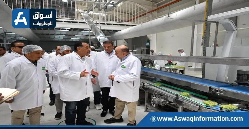 رئيس الوزراء: القطاع الزراعي حقق قفزات ملحوظة في صادراته.. ونسعى لتوسيع المساحات المزروعة رئيس الوزراء: القطاع الزراعي حقق قفزات ملحوظة في صادراته.. ونسعى لتوسيع المساحات المزروعة