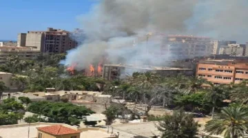 حريق ضخم يدمر أشجارًا في شارع بيانكي غرب الإسكندرية دون وقوع إصابات