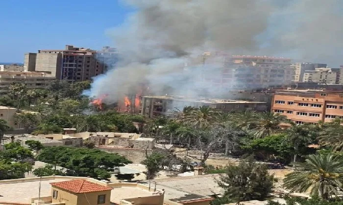 حريق ضخم يدمر أشجارًا في شارع بيانكي غرب الإسكندرية دون وقوع إصابات حريق ضخم يدمر أشجارًا في شارع بيانكي غرب الإسكندرية دون وقوع إصابات