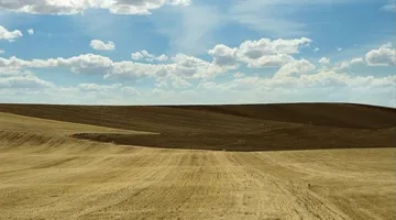 “الزمردة” محاصرة بالروتين.. سكان سفاجا يطالبون بحل أزمة مستمرة منذ 13 عامًا
