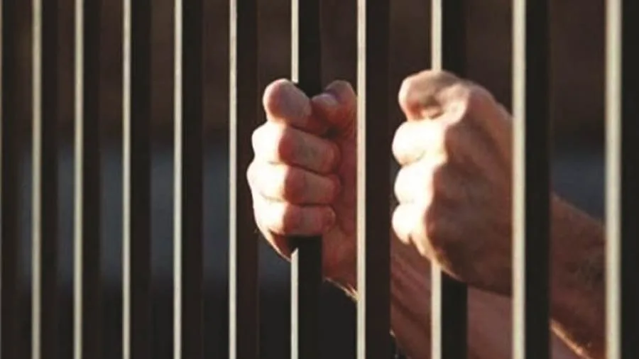محكمة جنايات الزقازيق تصدر حكمًا بالسجن 15 عامًا على قاتل خفير محكمة جنايات الزقازيق تصدر حكمًا بالسجن 15 عامًا على قاتل خفير