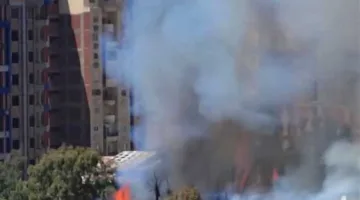 بسبب ارتفاع درجات الحرارة.. حريق يلتهم الأشجار في بيانكي بالإسكندرية (صور)
