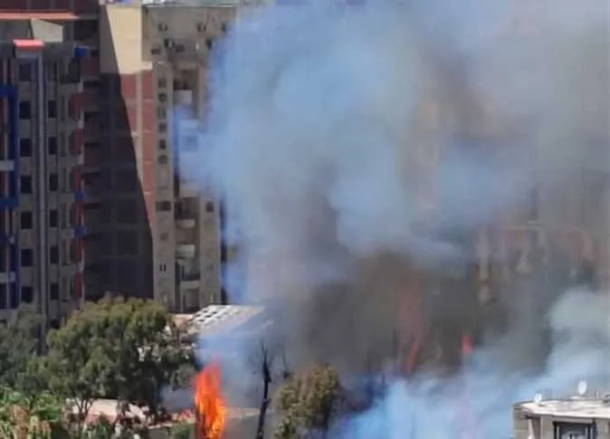 بسبب ارتفاع درجات الحرارة.. حريق يلتهم الأشجار في بيانكي بالإسكندرية (صور) بسبب ارتفاع درجات الحرارة.. حريق يلتهم الأشجار في بيانكي بالإسكندرية (صور)
