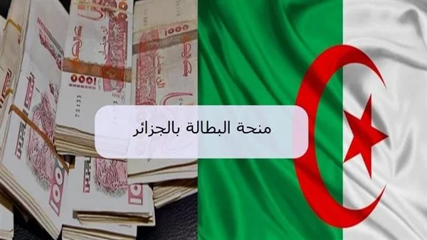 كيفية تحديث منحة البطالة في الجزائر 2025 من خلال موقع الوكالة الوطنية للتشغيل كيفية تحديث منحة البطالة في الجزائر 2025 من خلال موقع الوكالة الوطنية للتشغيل