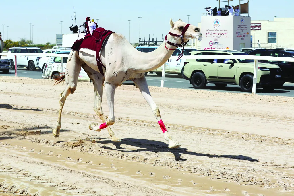 انطلاق مميز لمهرجان المفاريد الصيفي 2025