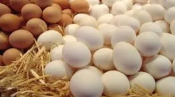بعد تراجعها الملحوظ.. أسعار البيض في الأسواق اليوم الأحد 15-6-2025
