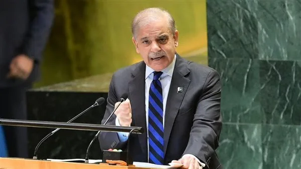 باكستان وتركيا تؤكدان مجددًا التزامهما بالسلام الإقليمي في ضوء التصعيد الإسرائيلي باكستان وتركيا تؤكدان مجددًا التزامهما بالسلام الإقليمي في ضوء التصعيد الإسرائيلي