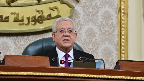 جبالي يترأس الجلسة العامة لمجلس النواب جبالي يترأس الجلسة العامة لمجلس النواب