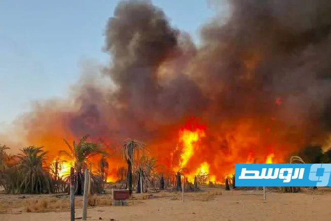 إخماد حريق هائل في مزارع قرية بوحليمة بالكفرة إخماد حريق هائل في مزارع قرية بوحليمة بالكفرة