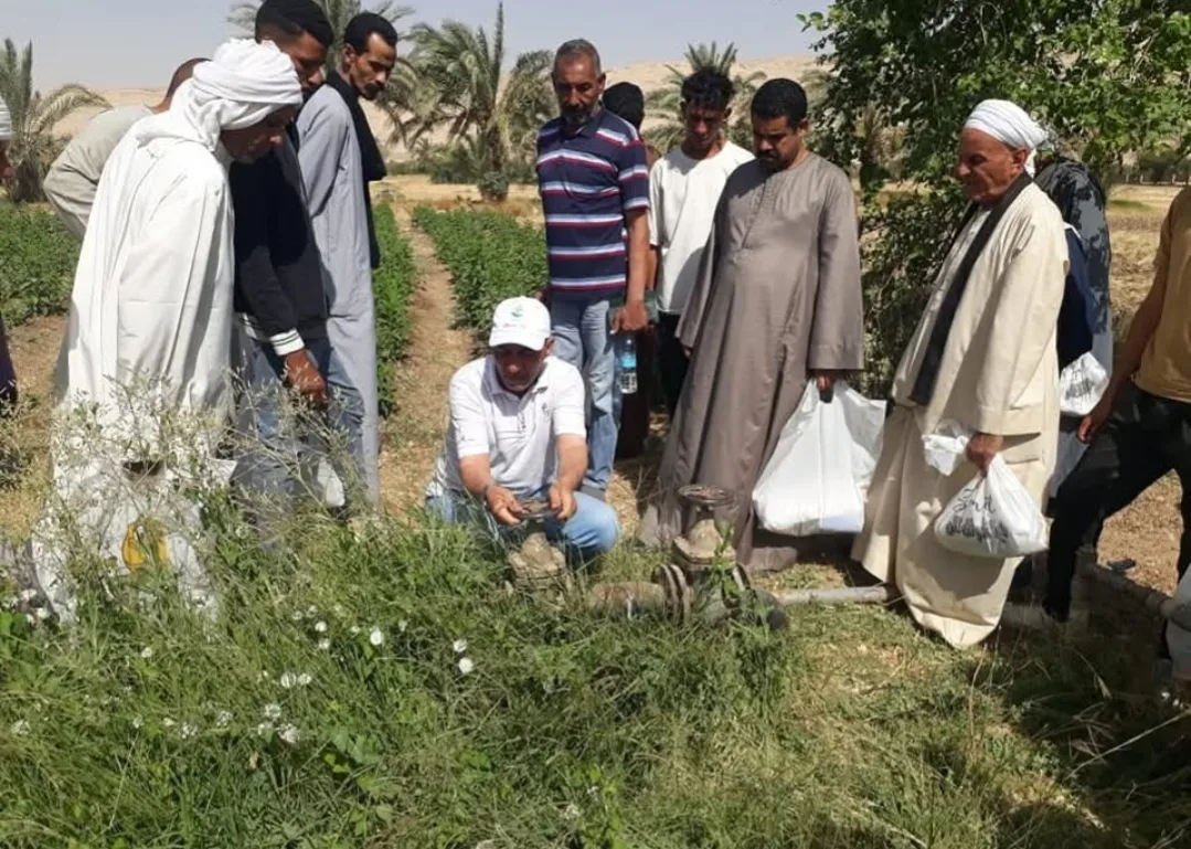 توظيف أنظمة الري بالرش والتنقيط في زراعة 46 فدان من قصب السكر في المنيا توظيف أنظمة الري بالرش والتنقيط في زراعة 46 فدان من قصب السكر في المنيا