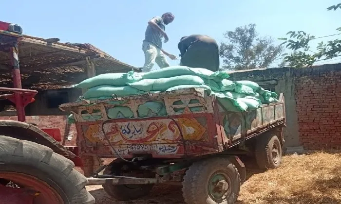 حملات تفتيشية: وزارة الداخلية تتصدى لمخالفات وتضبط 5 أطنان من الدقيق المدعوم حملات تفتيشية: وزارة الداخلية تتصدى لمخالفات وتضبط 5 أطنان من الدقيق المدعوم