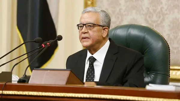 مجلس النواب ينبه من محاولات البعض لتنظيم مظاهرات أو التوجه إلى المناطق الحدودية