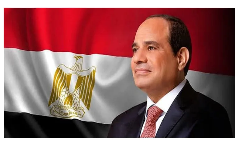 الرئيس السيسي يناقش مع مؤسسة التمويل الدولية زيادة الاستثمارات في مصر الرئيس السيسي يناقش مع مؤسسة التمويل الدولية زيادة الاستثمارات في مصر