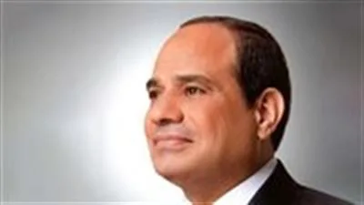 الرئيس السيسي يناقش مع مؤسسة التمويل الدولية تعزيز الاستثمارات ودعم القطاع الخاص في مصر الرئيس السيسي يناقش مع مؤسسة التمويل الدولية تعزيز الاستثمارات ودعم القطاع الخاص في مصر