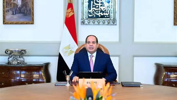 السيسي يستعرض سبل زيادة الاستثمارات في مصر وتوفير التمويل للقطاع الخاص السيسي يستعرض سبل زيادة الاستثمارات في مصر وتوفير التمويل للقطاع الخاص