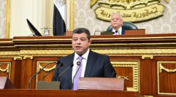 مجلس النواب يوافق مبدئيًا على مشروع قانون تنظيم ملكية الدولة