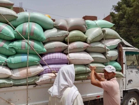 المنيا تتجاوز نصف مليون طن من القمح والمحافظ يعلن عن استمرار عمليات التوريد لدعم الأمن الغذائي. المنيا تتجاوز نصف مليون طن من القمح والمحافظ يعلن عن استمرار عمليات التوريد لدعم الأمن الغذائي.