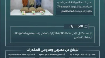 حرس الحدود في عسير يعتقل 3 أشخاص مخالفين لقوانين أمن الحدود بتهمة تهريب 75 كيلوجرامًا من نبات القات المخدر.