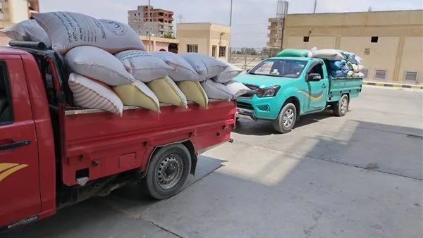 شون وصوامع البحيرة تستقبل ما يزيد عن 310 آلاف طن من القمح.