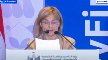 البنك الأوروبي للاستثمار: نDedicated to Supporting the Private Sector and Sustainable Development in Egypt