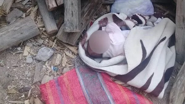 رأس طفل رضيع وسط المحاصيل.. جريمة بشعة في قرية عزبة البوصة بأبوتشت بقنا رأس طفل رضيع وسط المحاصيل.. جريمة بشعة في قرية عزبة البوصة بأبوتشت بقنا